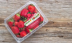 Frutas Queretaro - PROVEEDOR RESTAURANTE